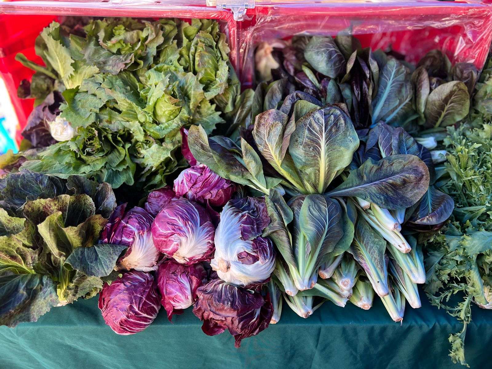 Considering Going Vegan? Here Are Things You Need To Know